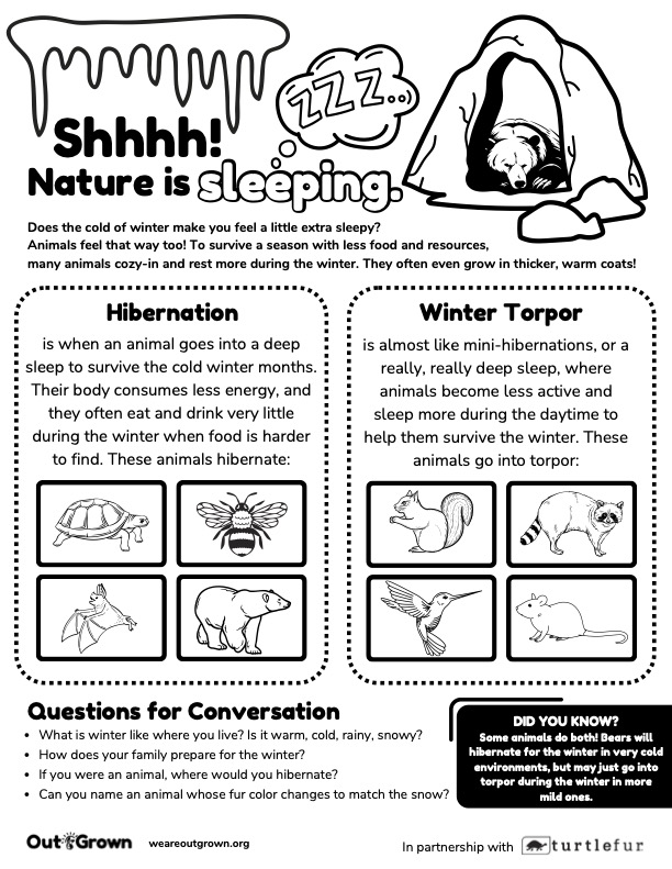 Nature is sleeping hibernation worksheet